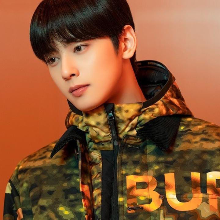 Latest photo of Eunwoo (ASTRO)