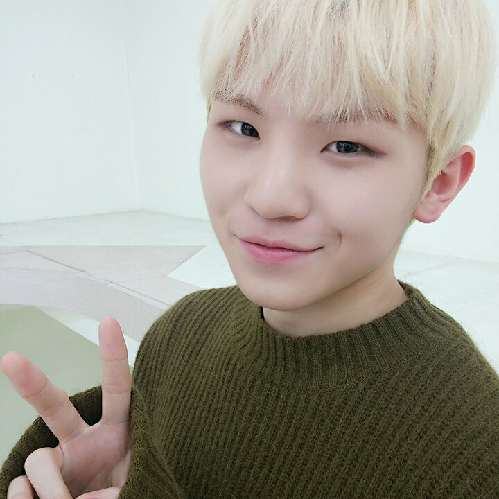 Latest photo of Woozi (SEVENTEEN)