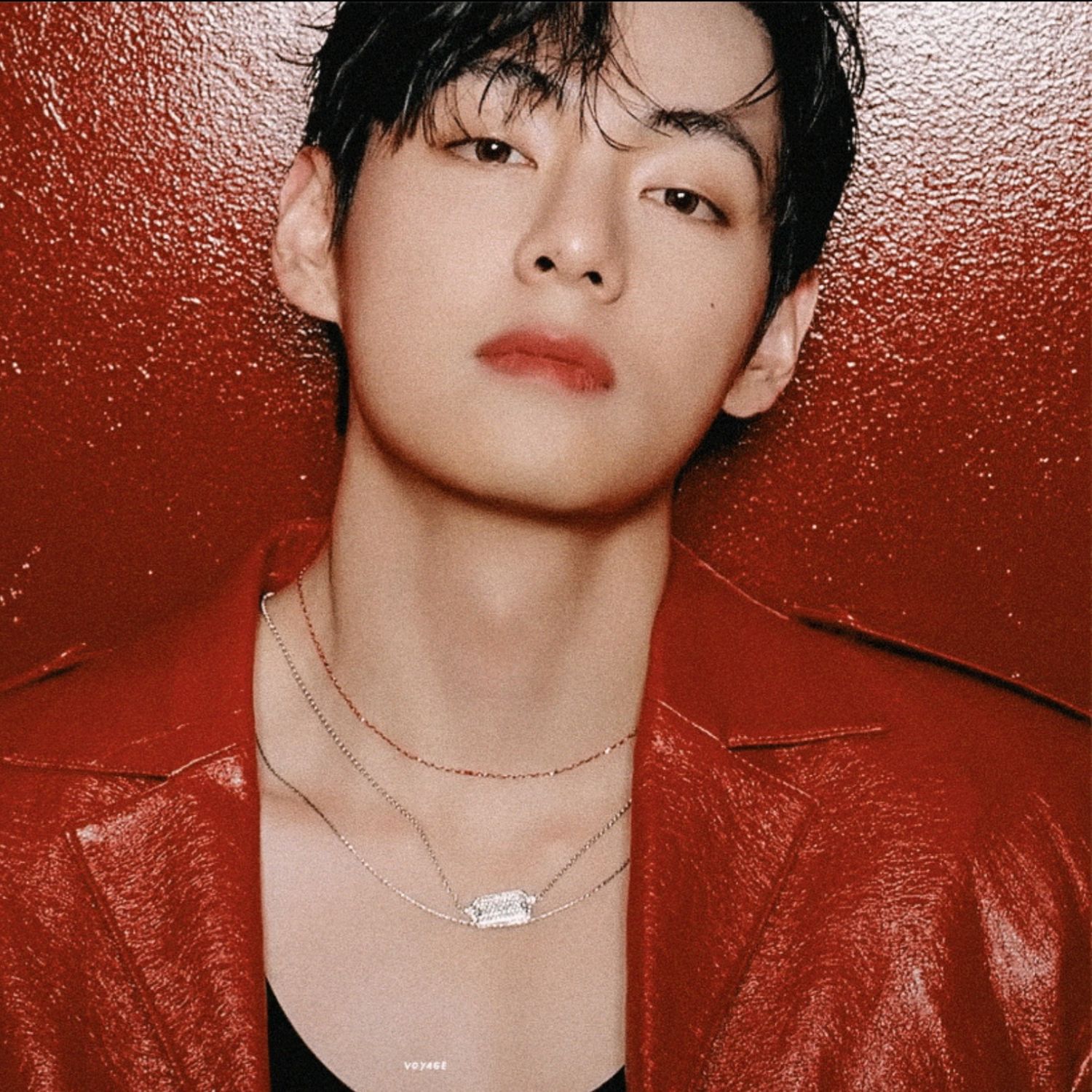 V (防彈少年團)的最新照片