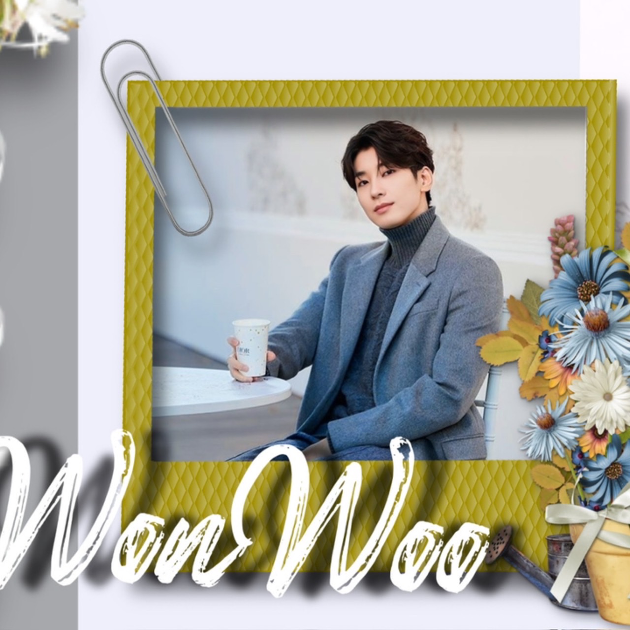 A moment captured by Wonwoo (SEVENTEEN)'s fan