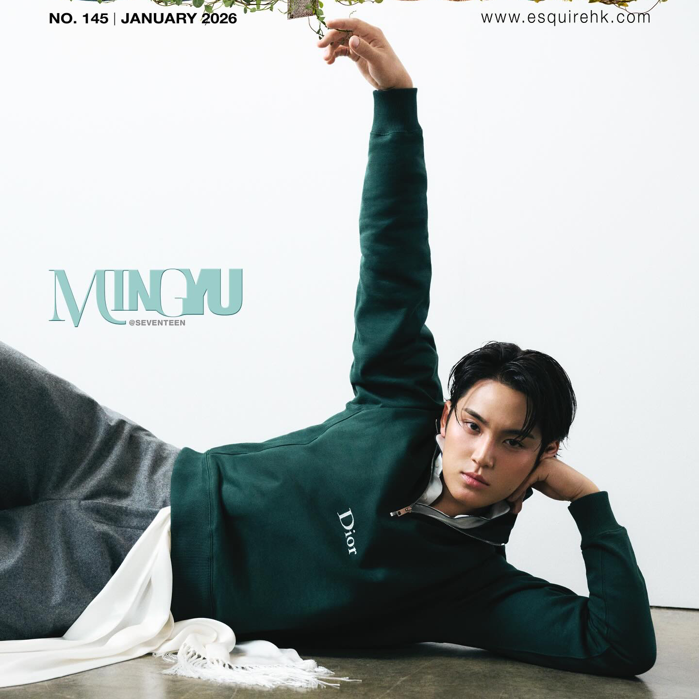 Recent activity shot of Mingyu (SEVENTEEN)