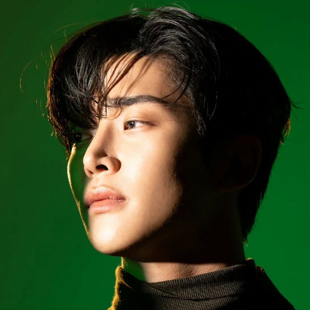A moment captured by Rowoon's fan
