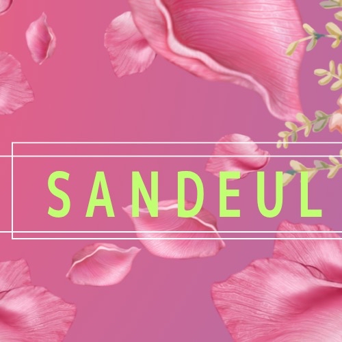 A moment captured by Sandeul (B1A4)'s fan