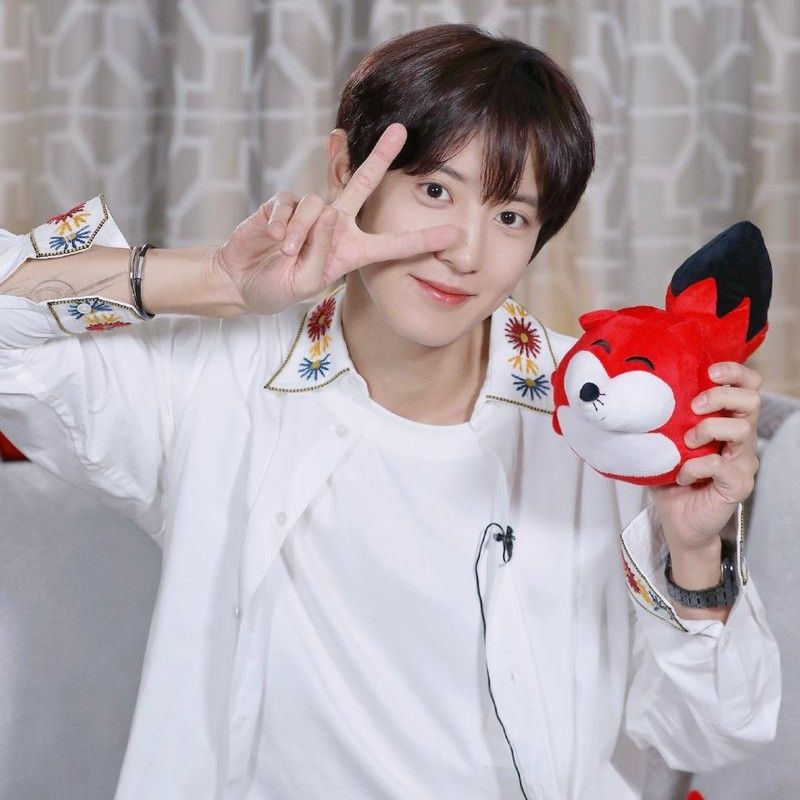 찬열 (EXO) 최근 활동샷