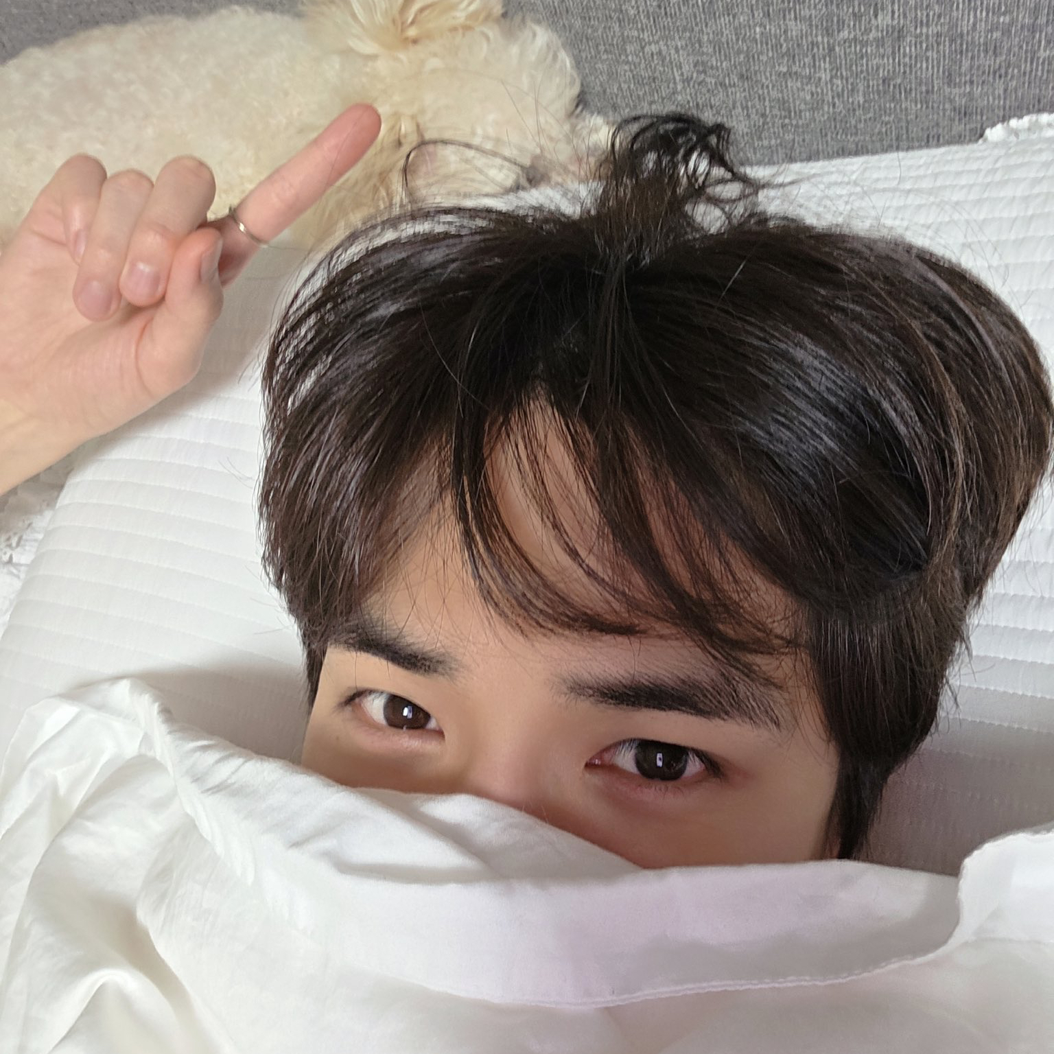 ヨンフン (THE BOYZ)ファンが撮った瞬間