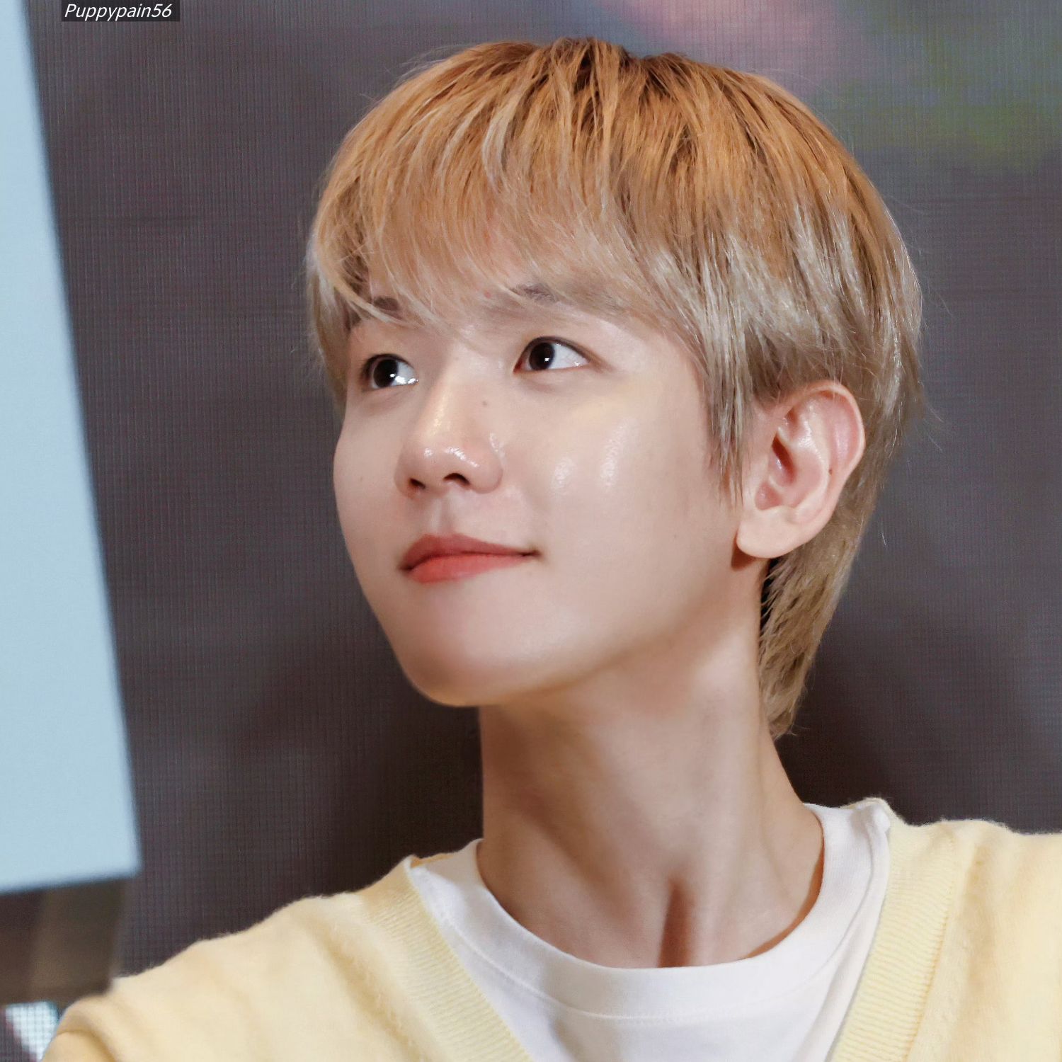 伯賢 (EXO)的最新照片