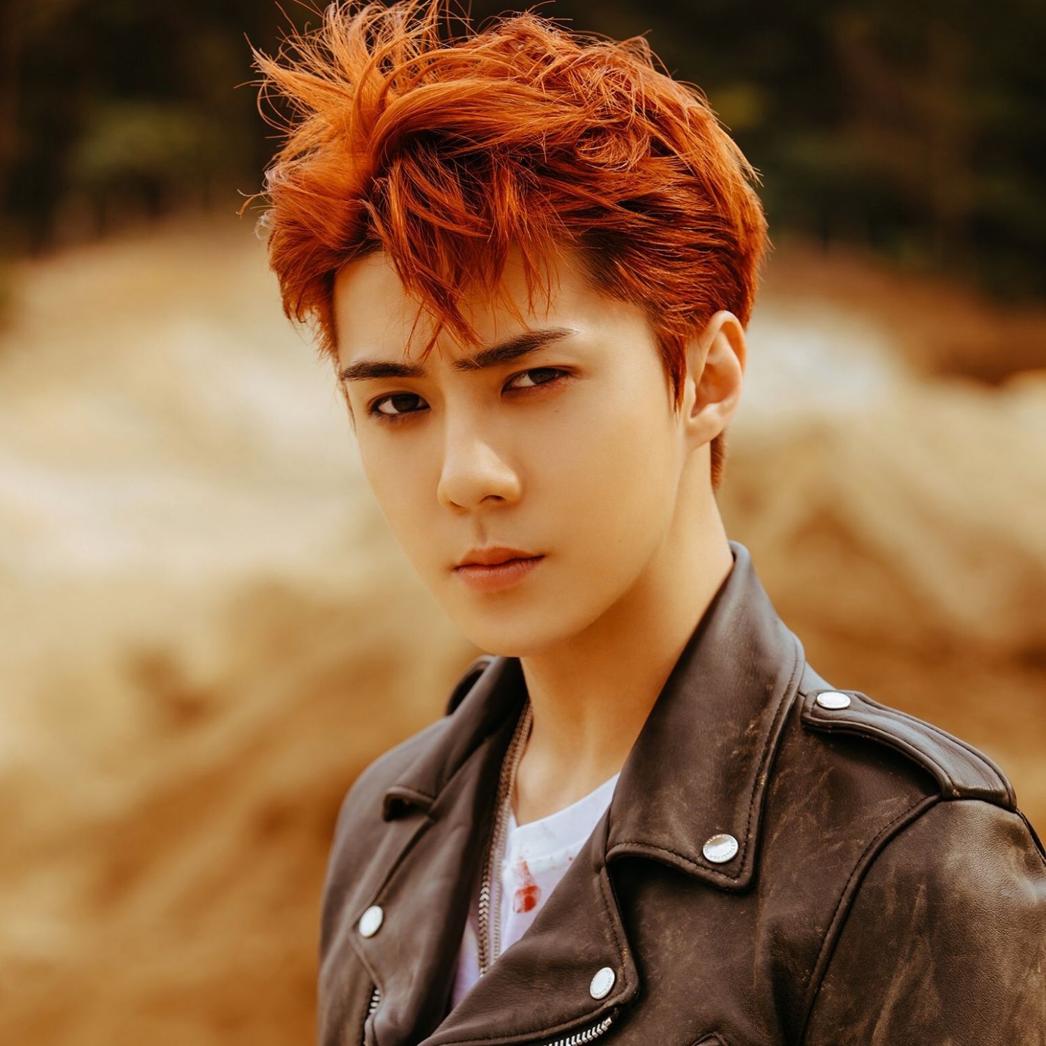 세훈 (EXO) 팬이 찍은 순간