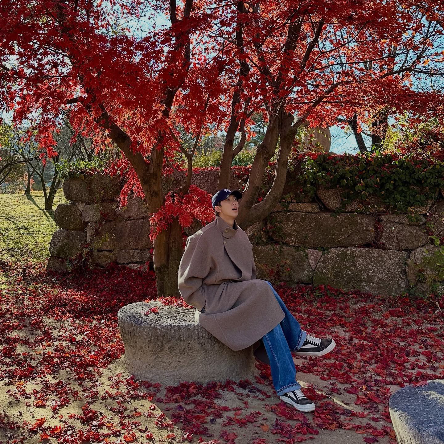 방탄소년단 팬이 찍은 순간