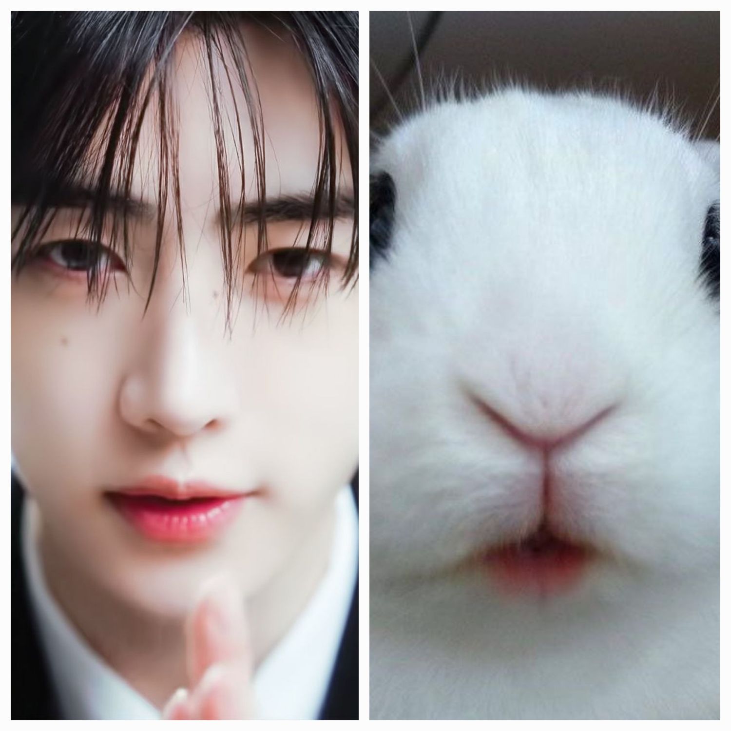 Recent activity shot of Sunghoon (ENHYPEN)