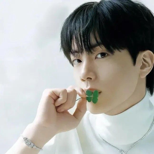 A moment captured by Jin (BTS)'s fan