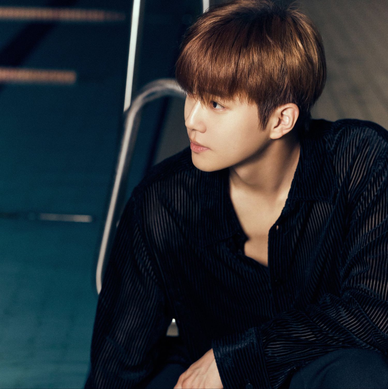 EXO 팬이 찍은 순간