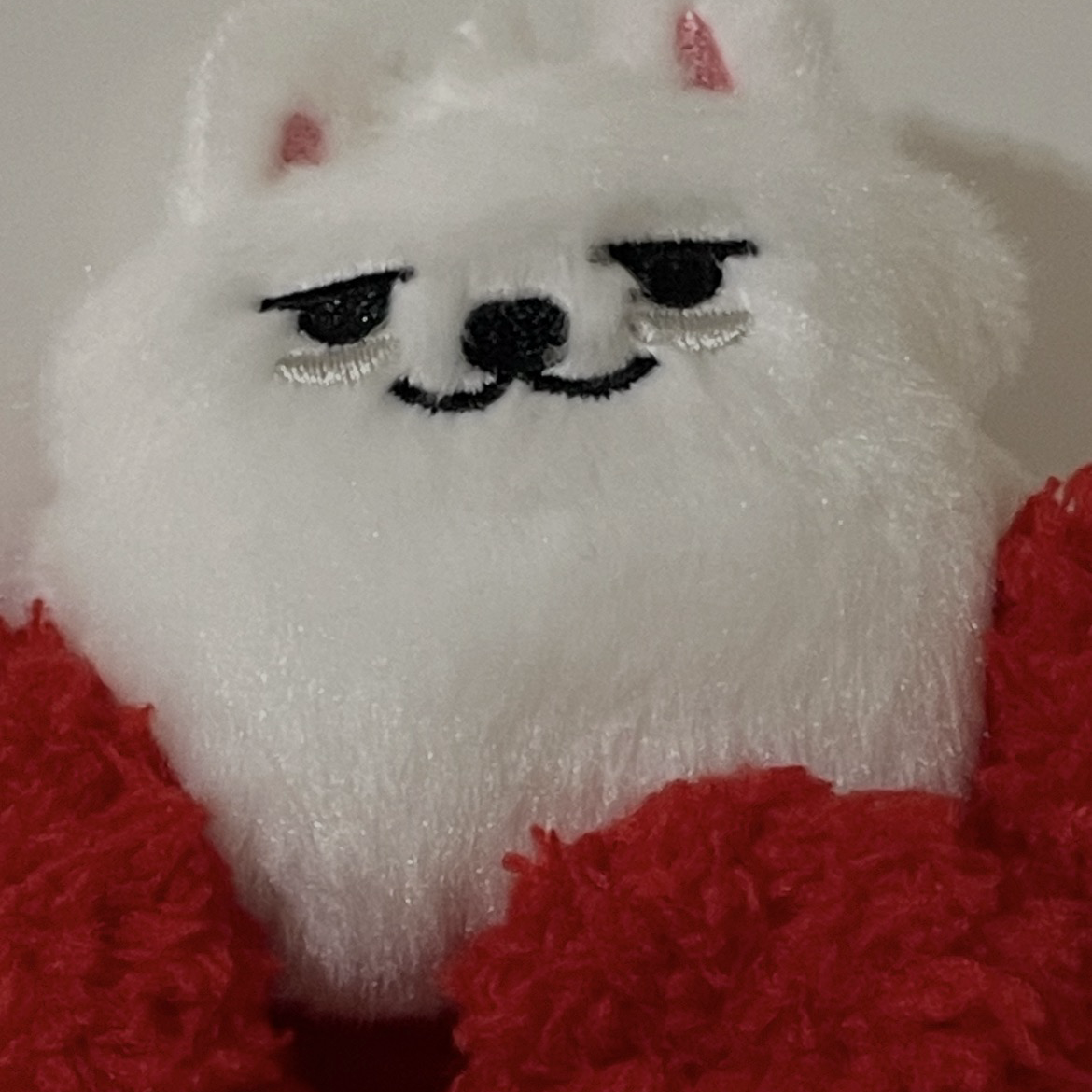 太顯 (TOMORROW X TOGETHER)粉絲拍下的瞬間