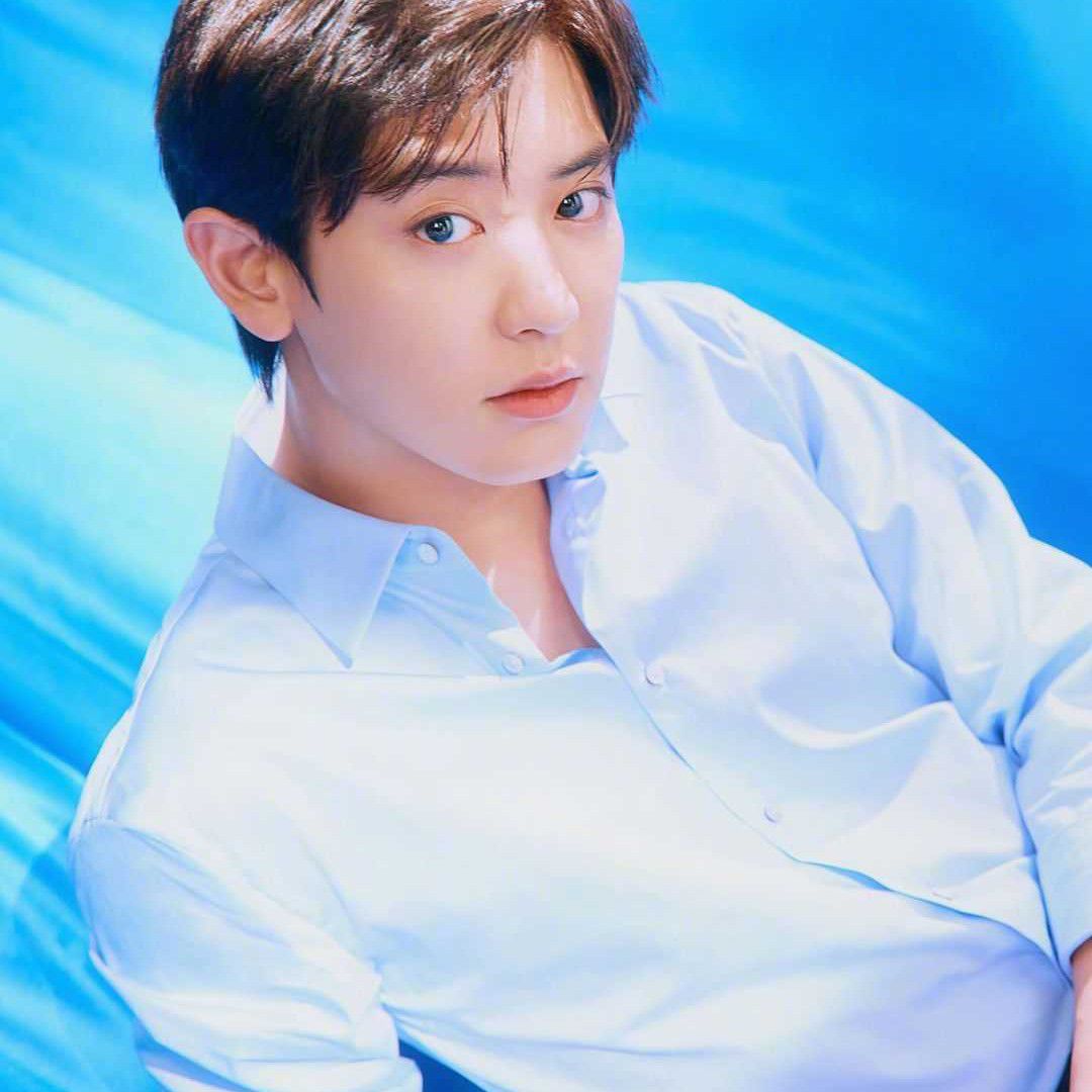 灿烈 (EXO)的幕后花絮