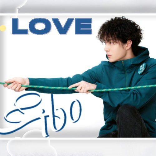 Signature photo of Wang Yibo capturing their charm