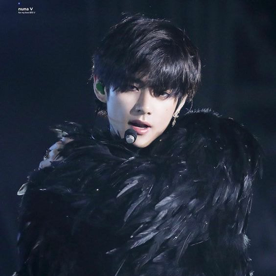 V (BTS)の舞台裏ショット