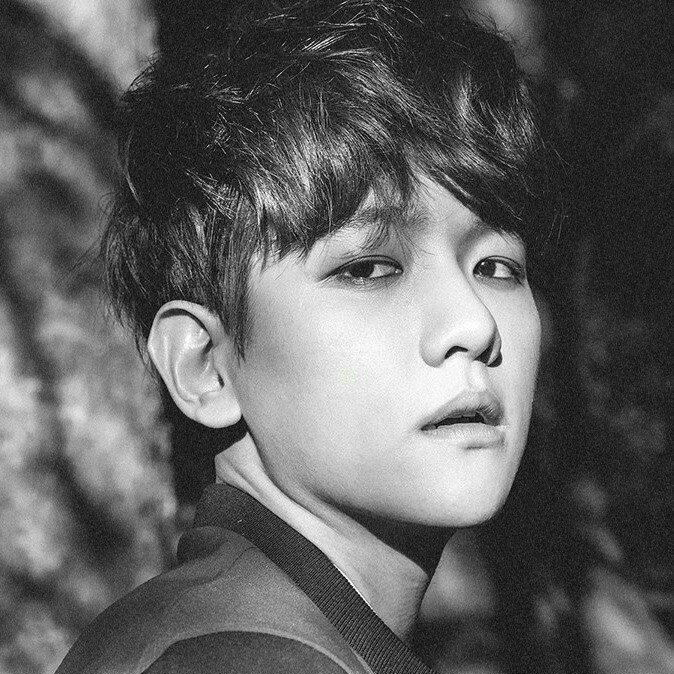 EXO 팬이 찍은 순간