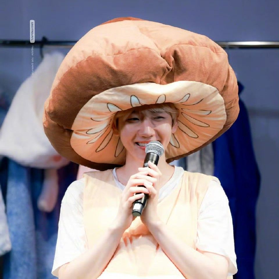 Potret di balik layar Baekhyun (EXO)
