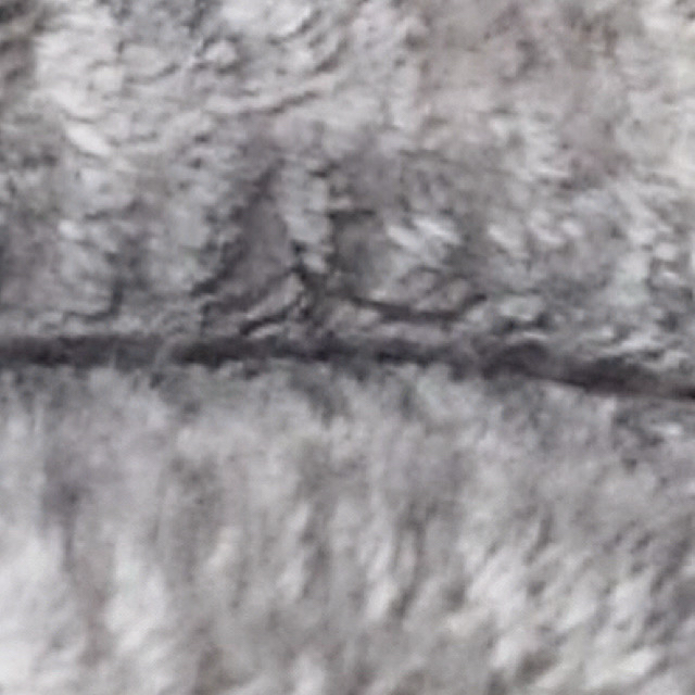 Recent activity shot of Ravn