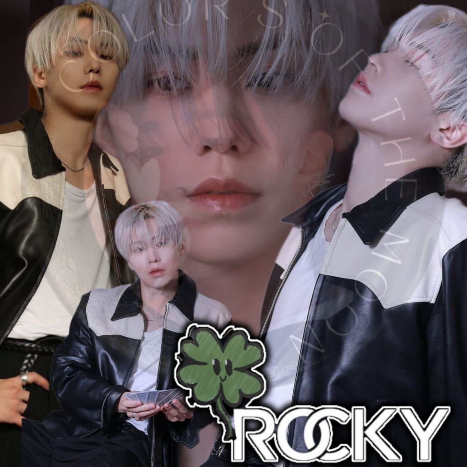 라키 최근 활동샷