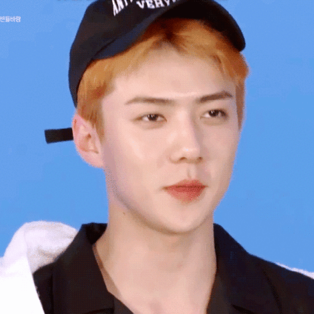 세훈 (EXO) 최근 활동샷