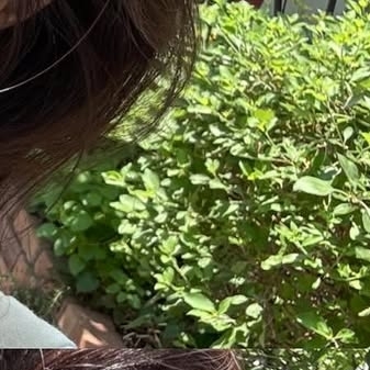 A moment captured by Kang Hyewon's fan