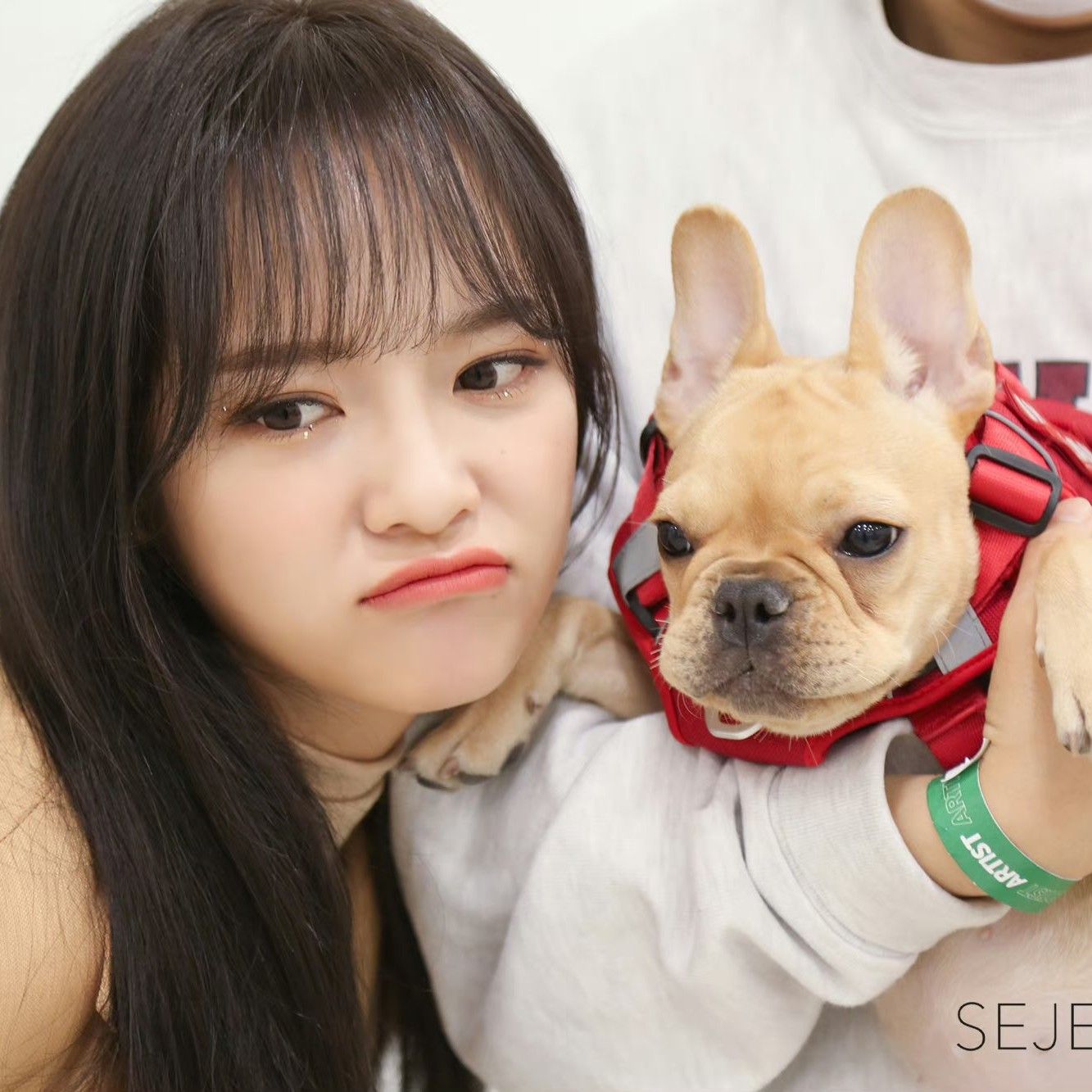 A moment captured by Sejeong's fan