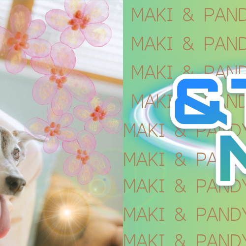 Maki (&TEAM)的最新照片