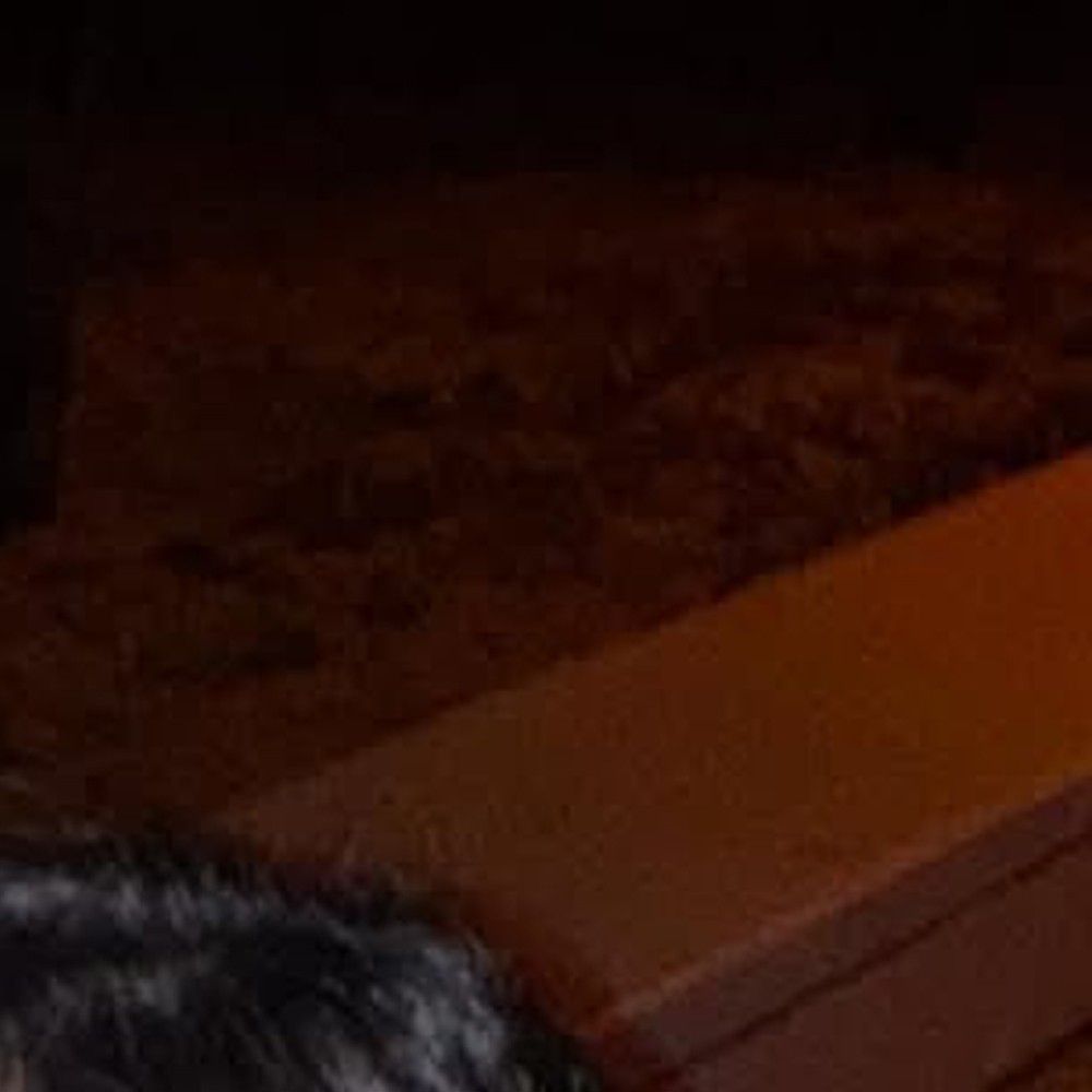 A moment captured by Choerry (ARTMS)'s fan