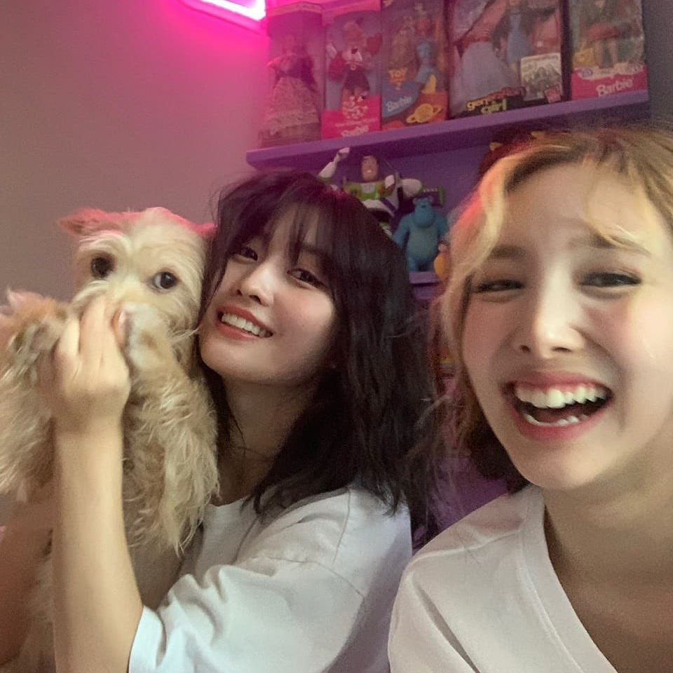 Recent activity shot of Momo (TWICE)