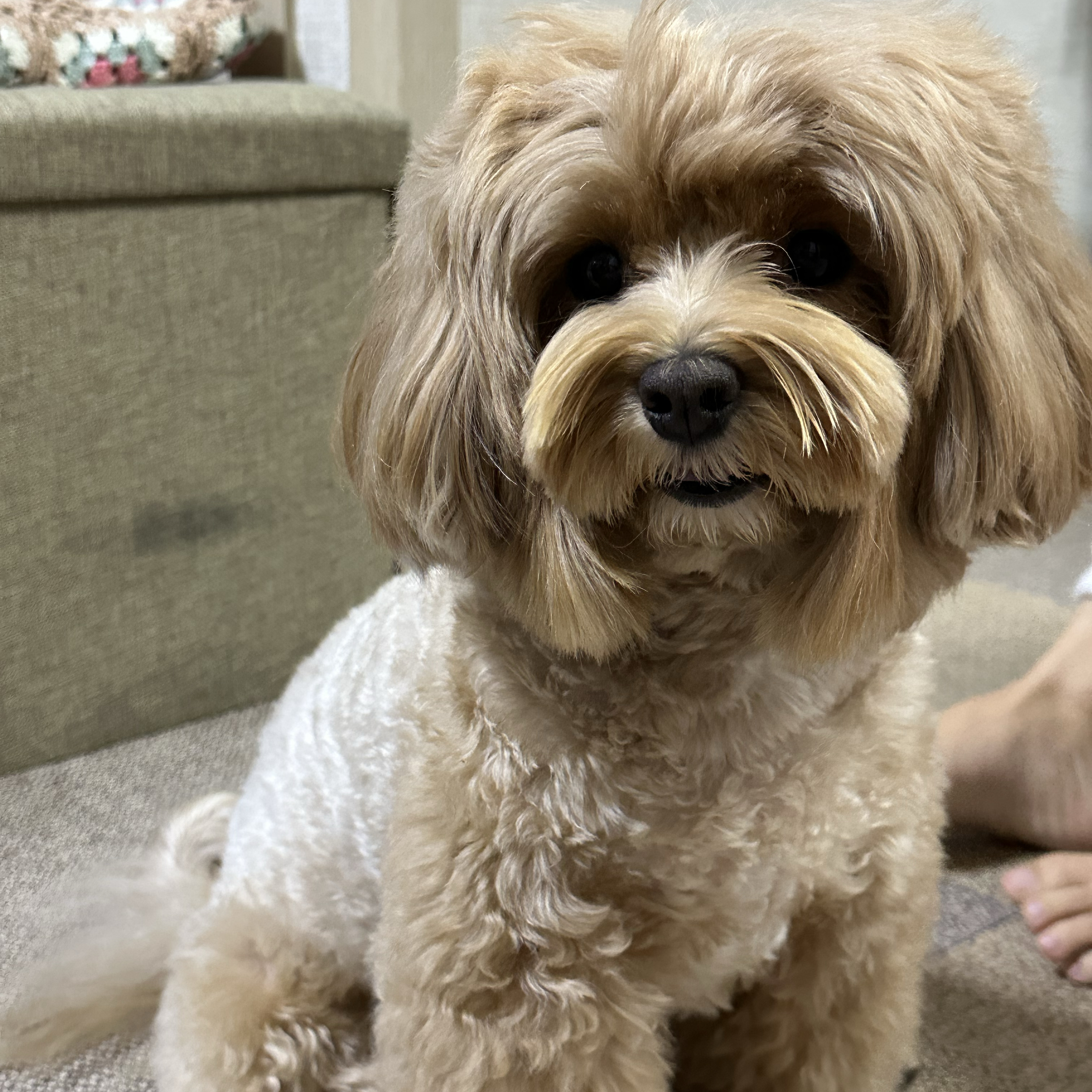 Foto terbaru Lee Daehwi (AB6IX)