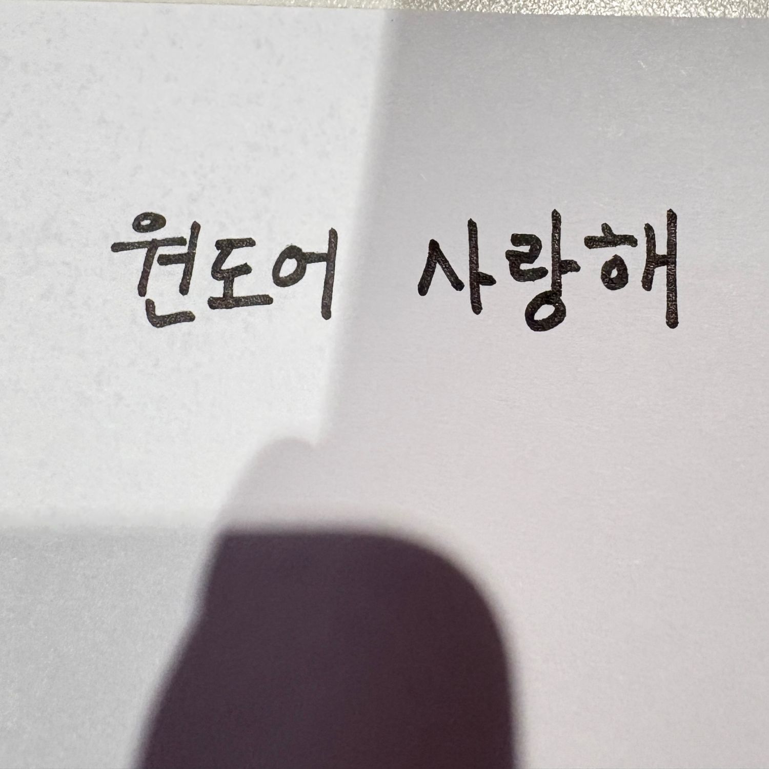 Recent activity shot of BOYNEXTDOOR