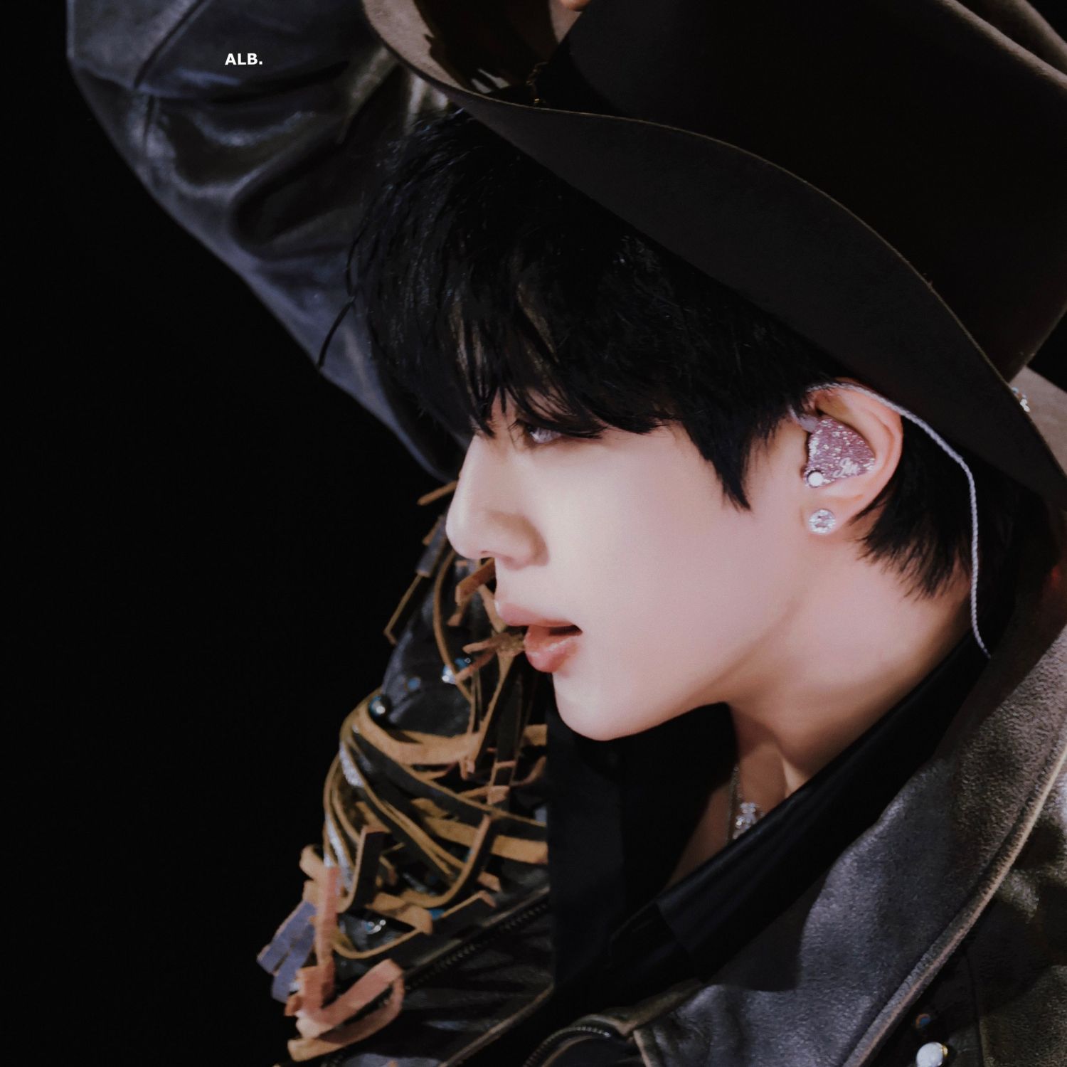 A moment captured by Jin (BTS)'s fan