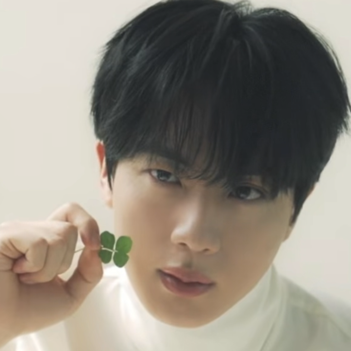 진 (방탄소년단) 팬이 찍은 순간