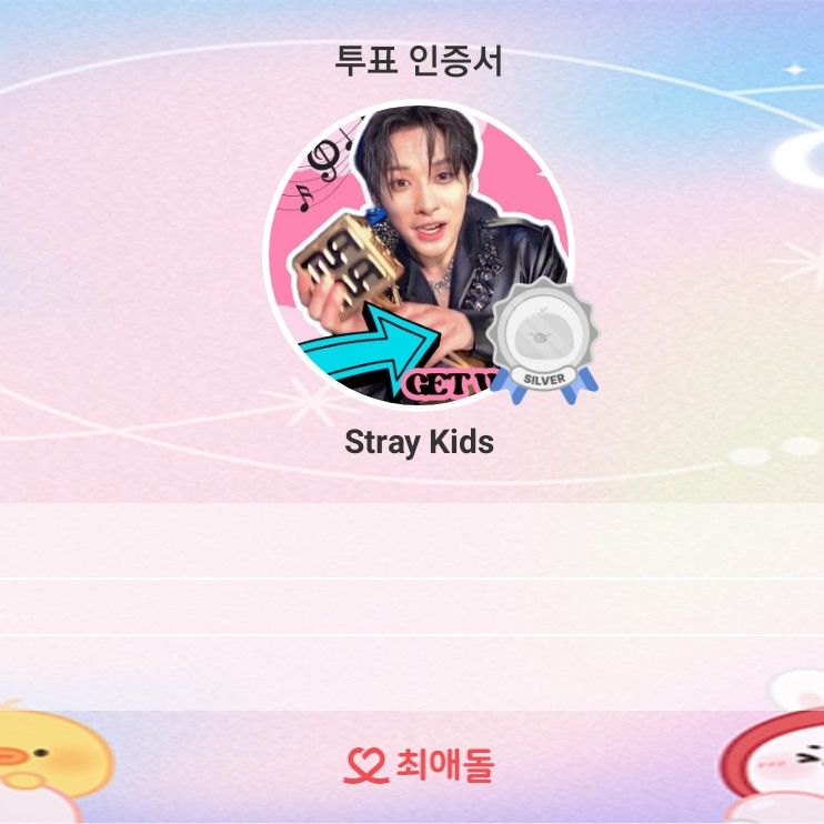 Stray Kids 팬이 찍은 순간