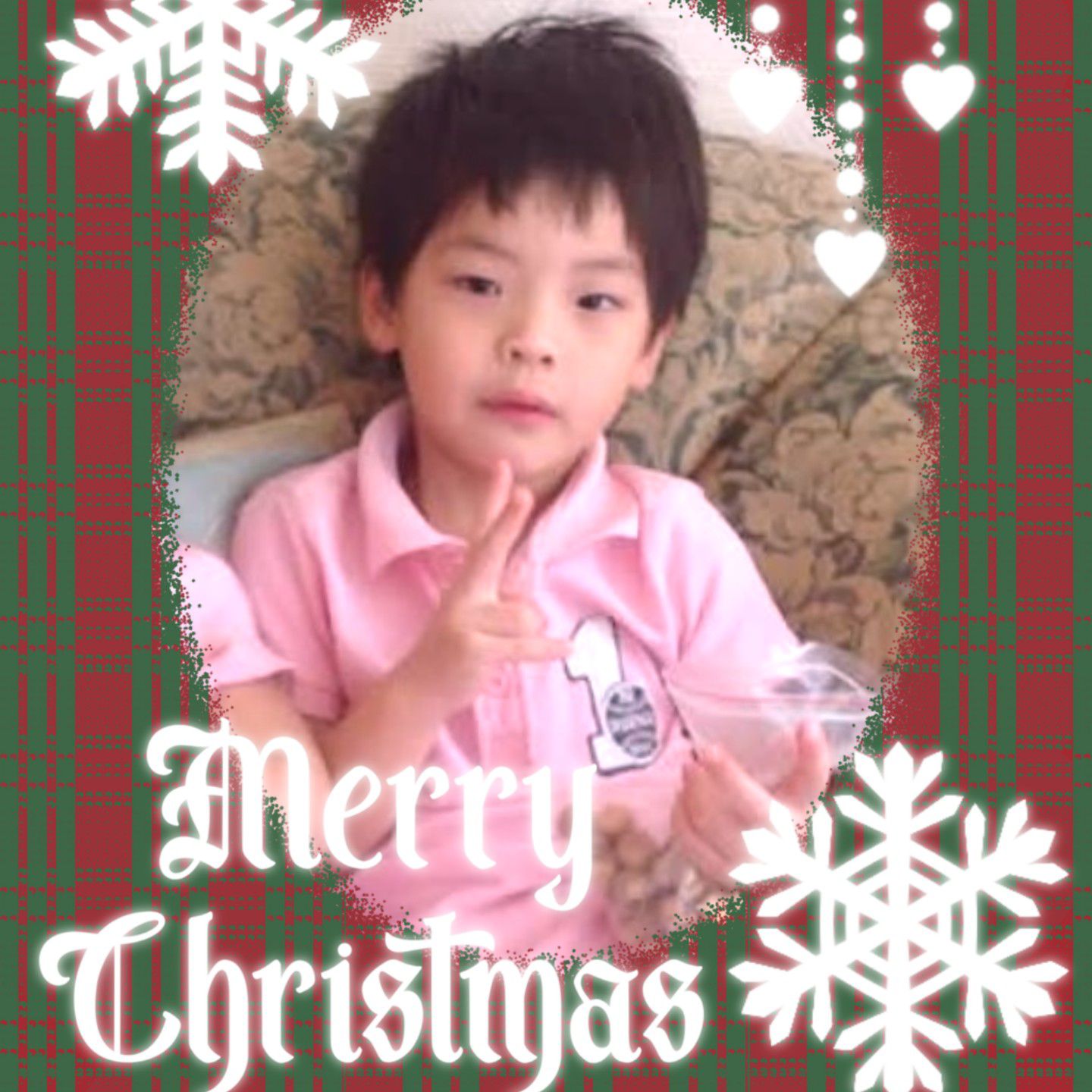 Latest photo of Tata (SMTR25)