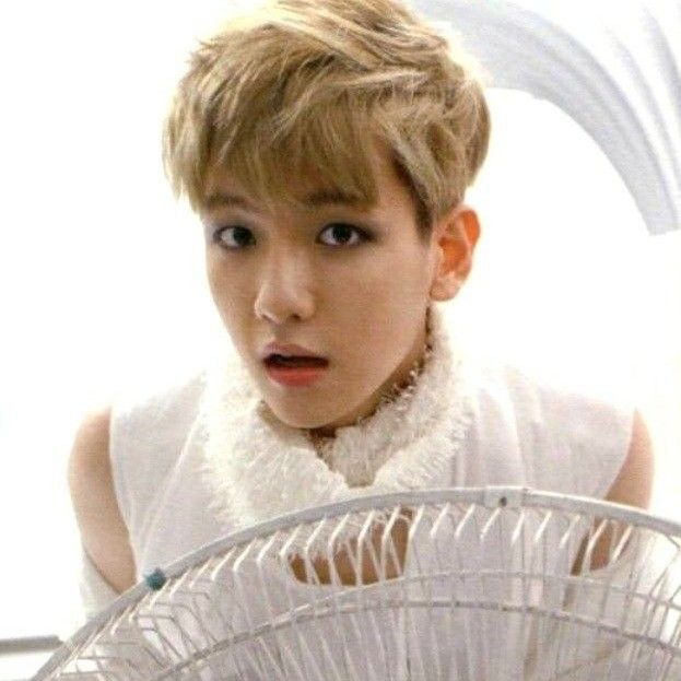 백현 (EXO) 최근 활동샷