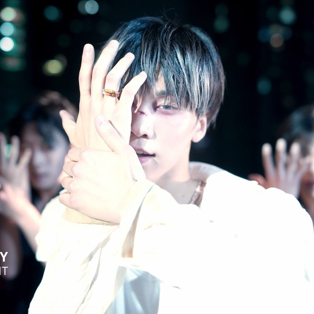 Recent activity shot of Rocky