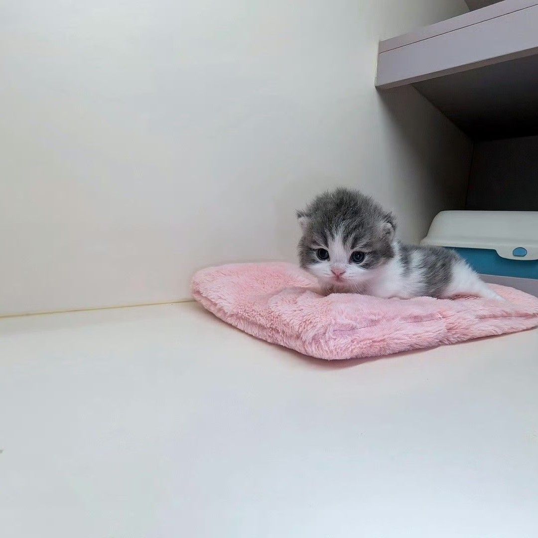 Recent activity shot of Jungwon (ENHYPEN)