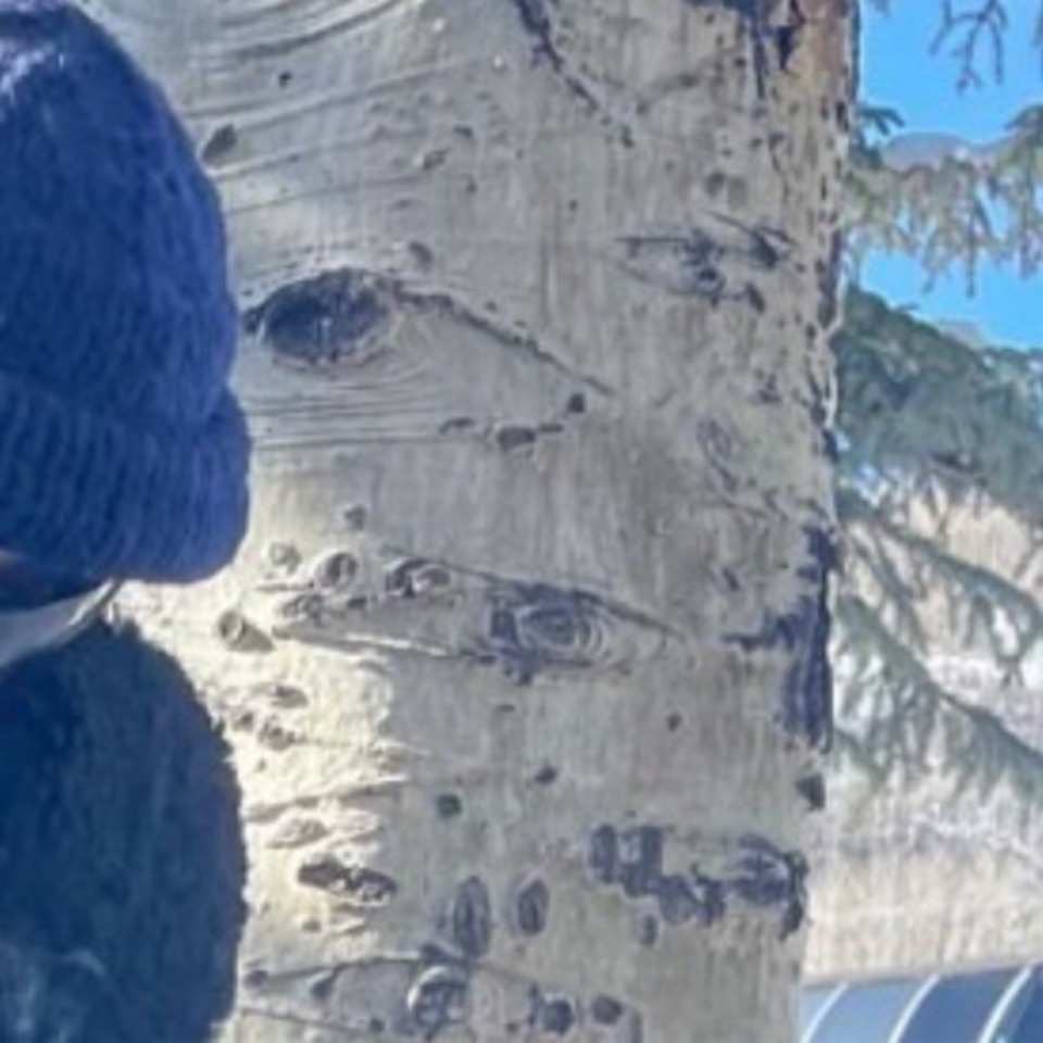 Recent activity shot of Justin Bieber