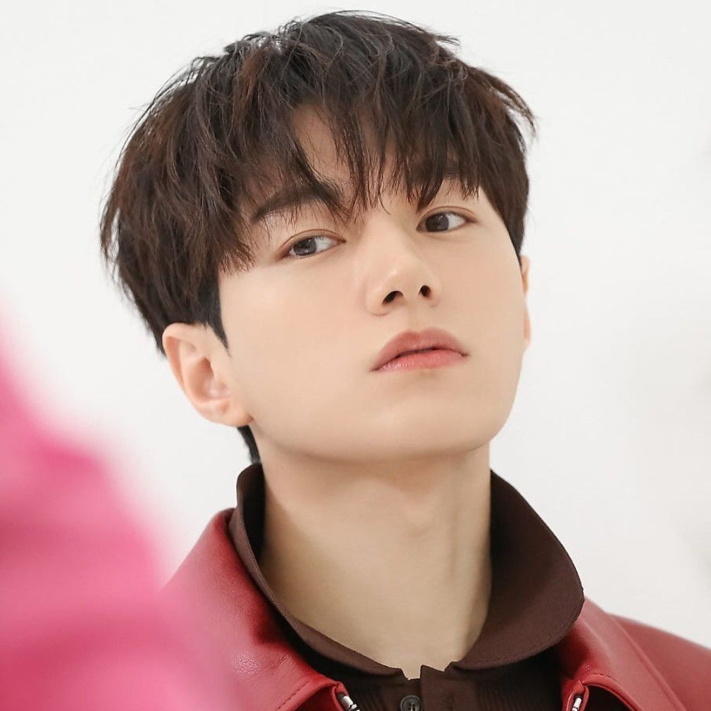 Recent activity shot of L (INFINITE)