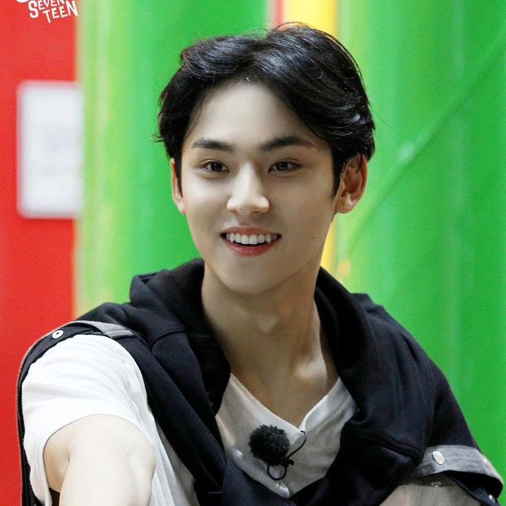 A moment captured by Mingyu (SEVENTEEN)'s fan