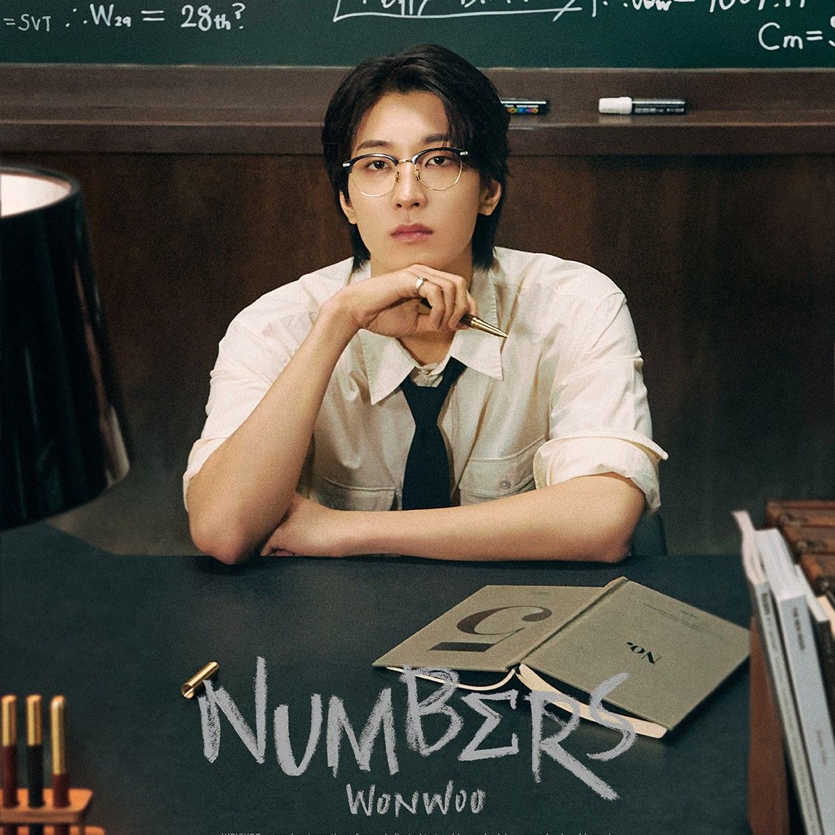 A moment captured by Wonwoo (SEVENTEEN)'s fan
