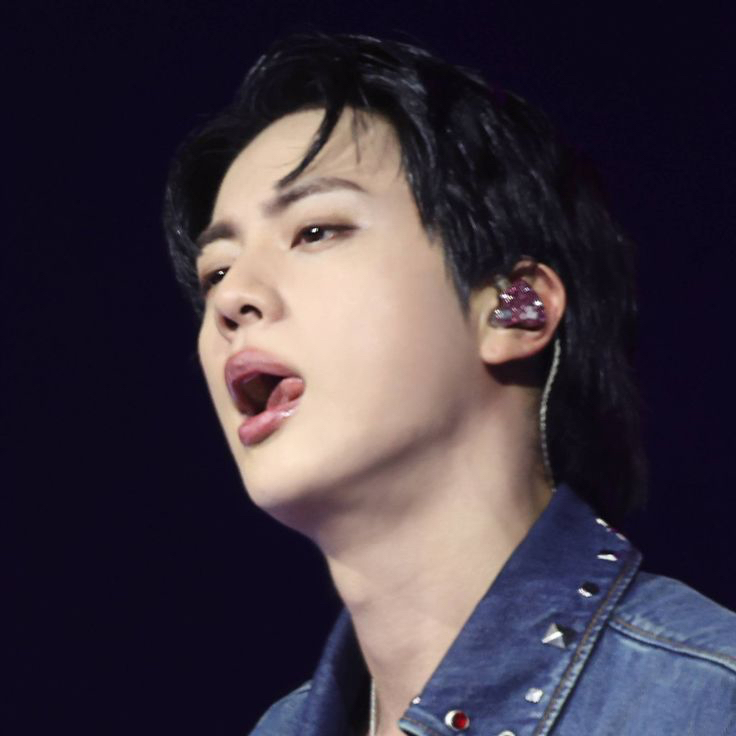 Jin (防弹少年团)粉丝拍下的瞬间