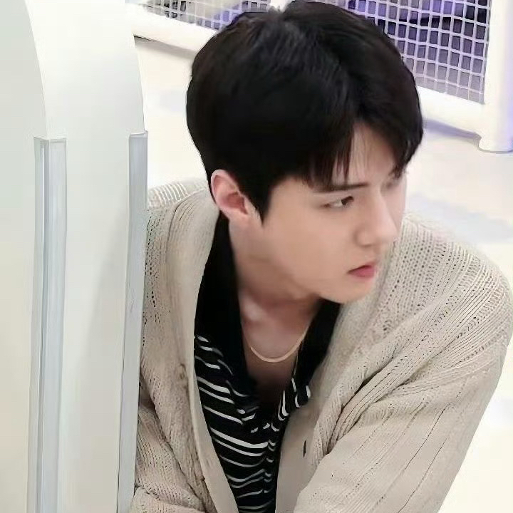 世勳 (EXO)的幕後花絮