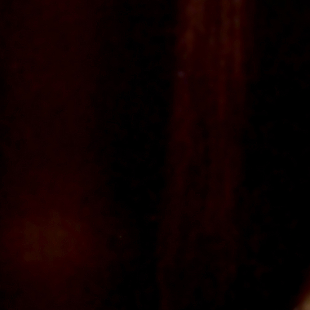 A moment captured by Go Won (Loossemble)'s fan