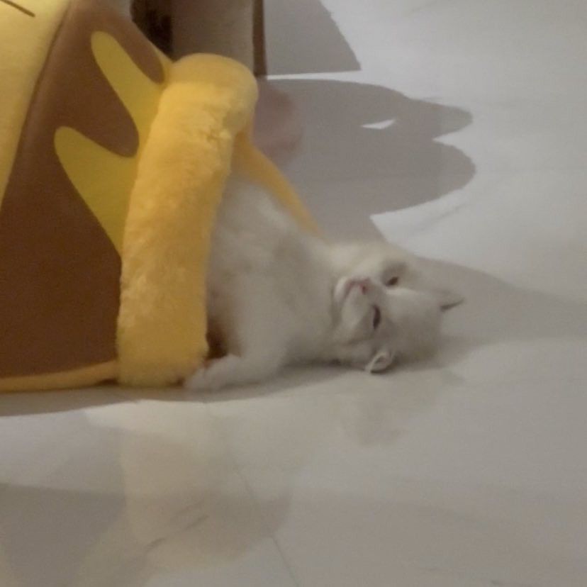 渽民 (NCT DREAM)粉丝拍下的瞬间