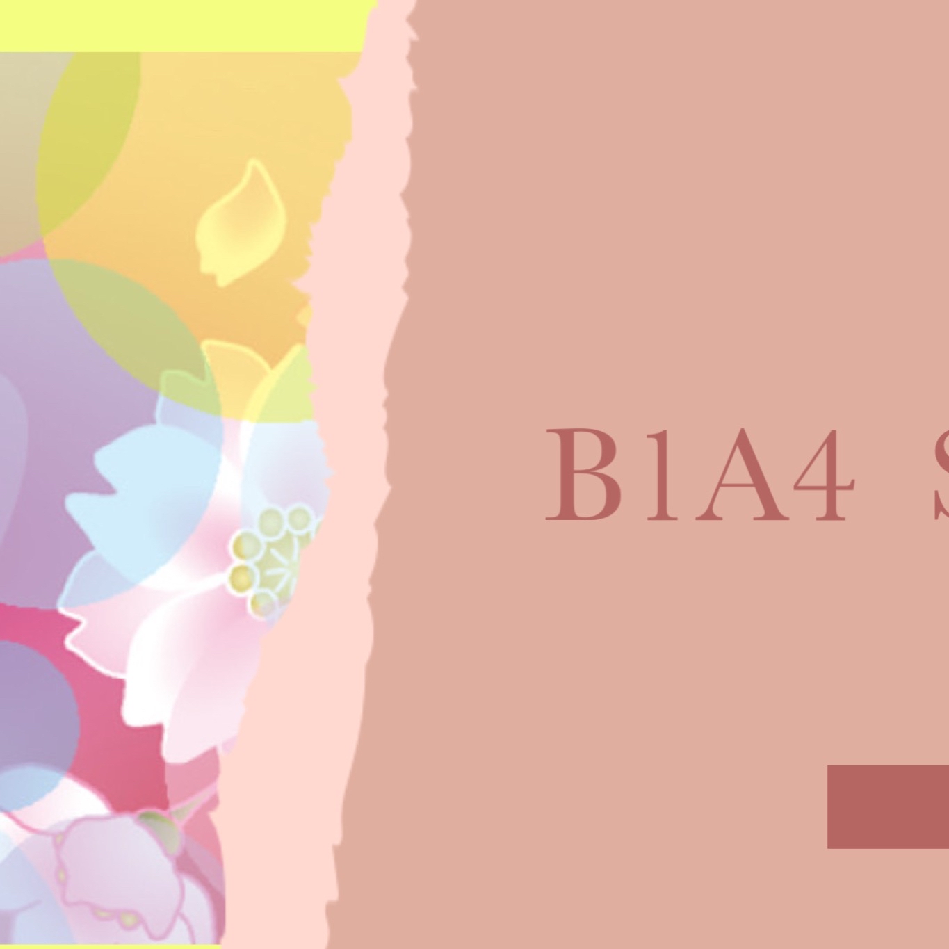 A moment captured by Sandeul (B1A4)'s fan