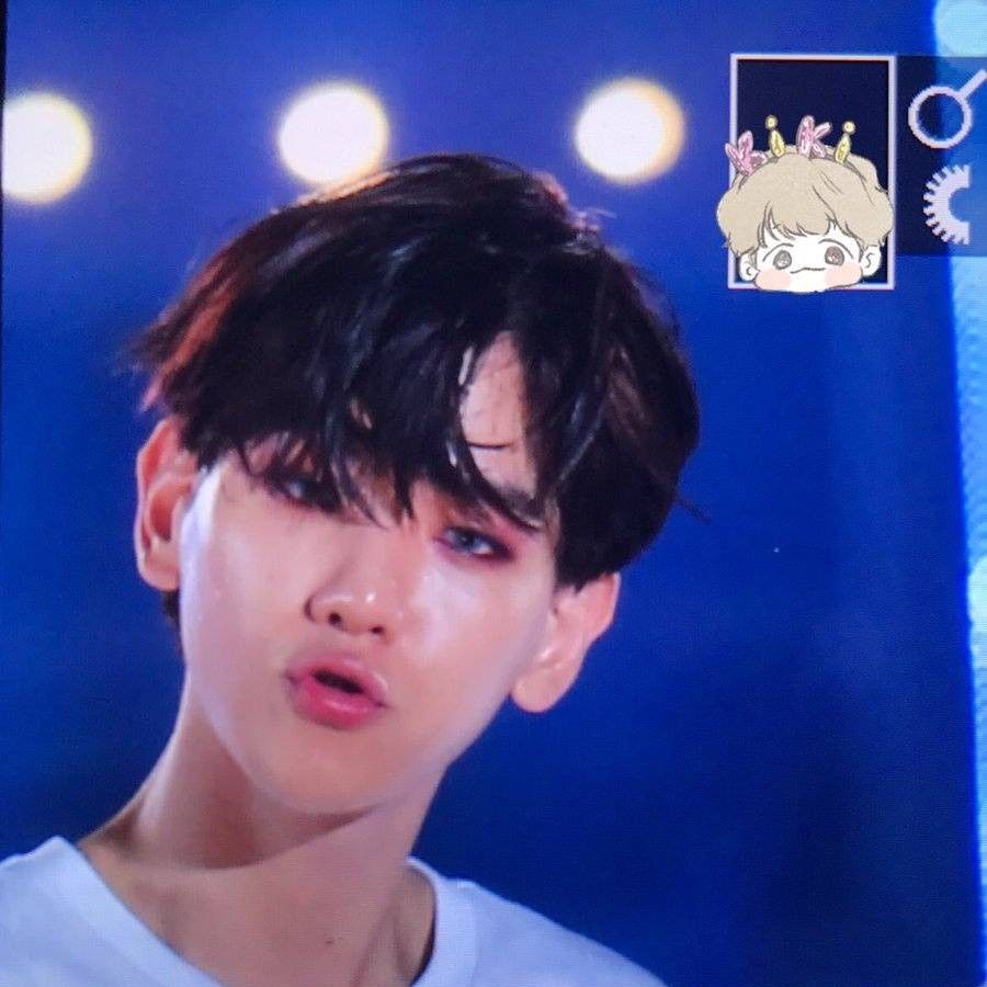 백현 (EXO) 팬이 찍은 순간