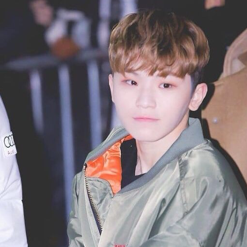 A moment captured by Woozi (SEVENTEEN)'s fan