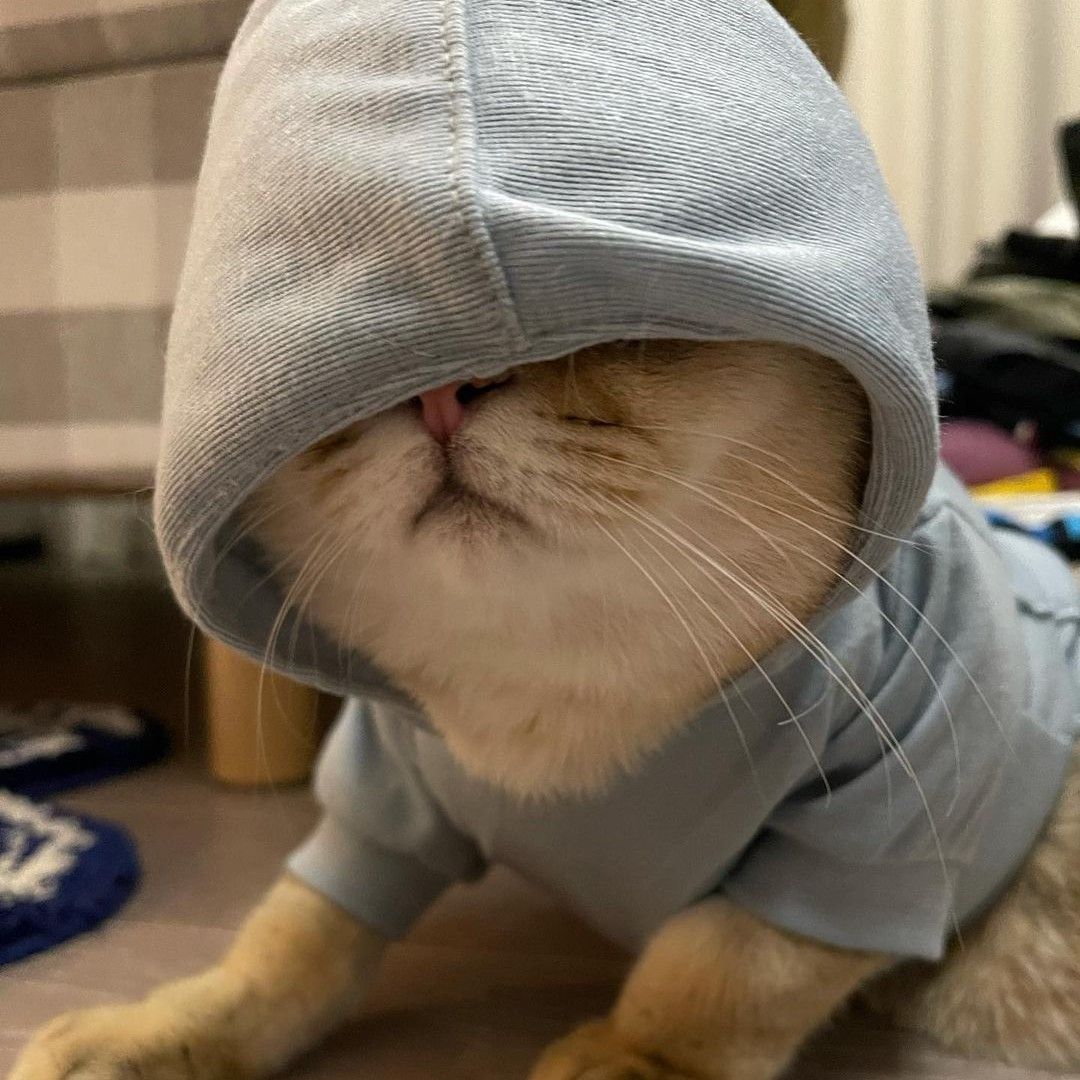 리사 (BLACKPINK)의 비하인드 컷